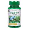 Holland & Barrett - Blueberry Extract 100 tablets