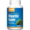 Jarrow Formulas - Mastic Gum 120 tablets