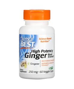 High Potency Ginger Root Extract