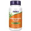 NOW Foods - Andrographis Ekstrakt