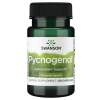 SWANSON Pycnogenol 50mg 50 kapsler