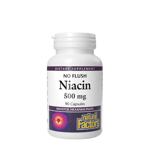 Natural Factors Niacin 500 mg  (90 Capsules)