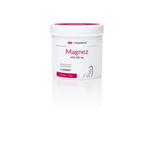 DR. ENZMANN MSE Magnesium Mse (120 caps)