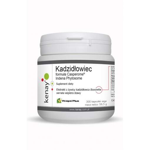 KENAY Boswellia Casperome Indena Phytosome (300 caps)