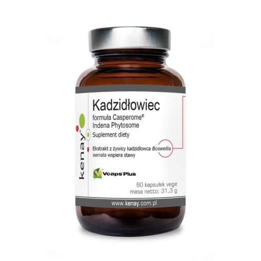KENAY Boswellis Casperome Indena Phytosome - extract (60 caps)