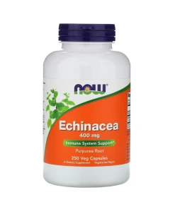 Echinacea