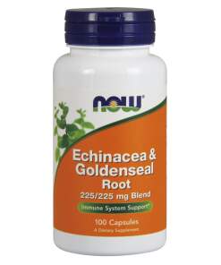 Echinacea & Goldenseal Root - 100 caps