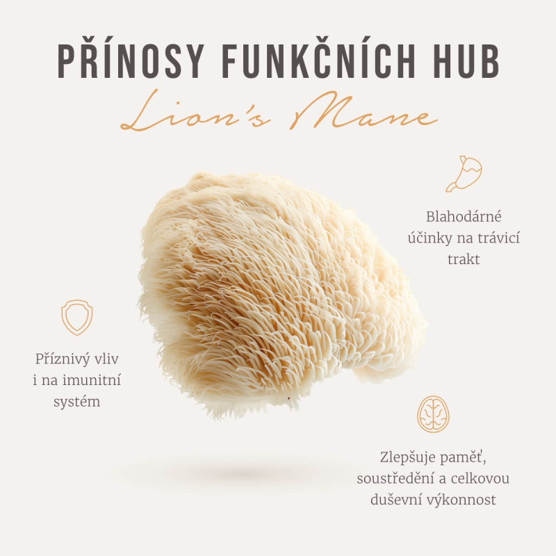 Four Sigmatic - Økologisk Lion's Mane Svampe Elixir Mix - Billede 2