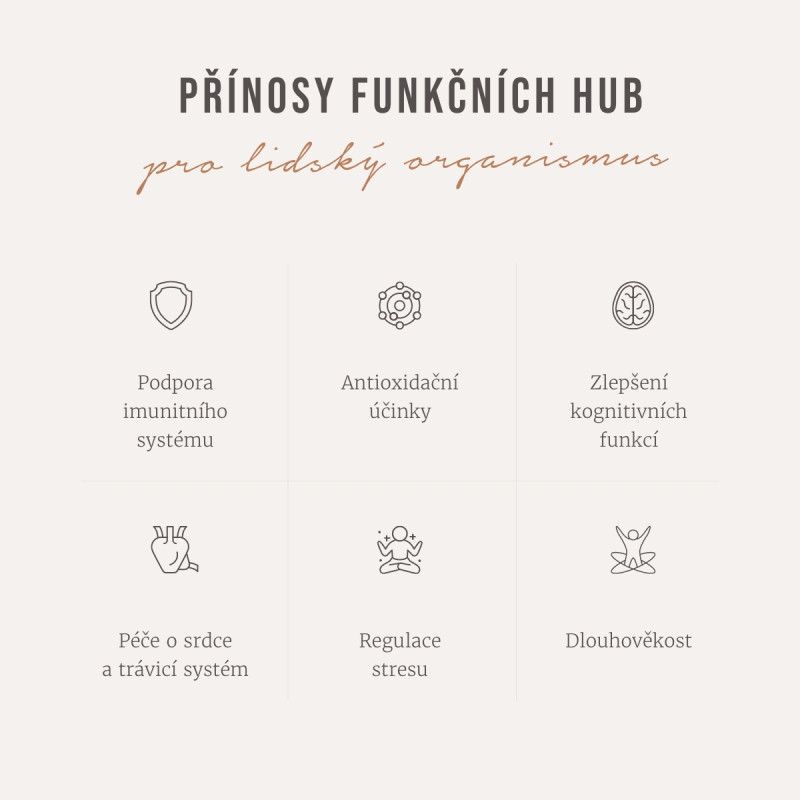 Four Sigmatic - Økologisk Lion's Mane Svampe Elixir Mix - Billede 3