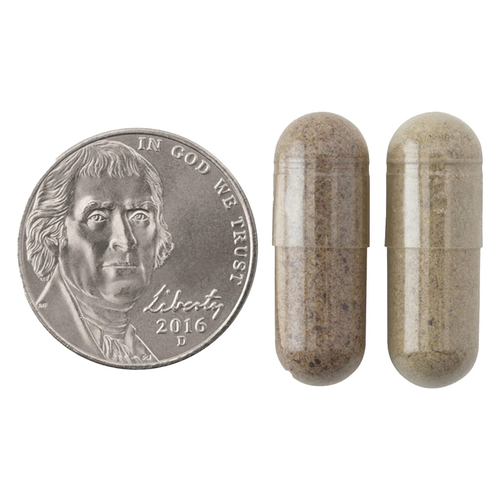 JuiceFestiv, Daily Fruits & Veggie - 60 + 60 kaps - Billede 5