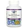 Natural Factors Super Strength Blueberry Concentrate 500mg 90 softgels