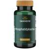 Swanson - Phosphatidylserin 100 mg, 90 bløde kapsler - Billede 2