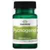 Swanson - Pycnogenol 100 mg, 30 kapsler - Billede 2