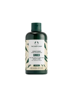 The Body Shop Ginger Conditioner (250 ml)