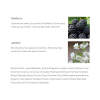The Body Shop - Brombær duftspray 100 ml - Billede 2