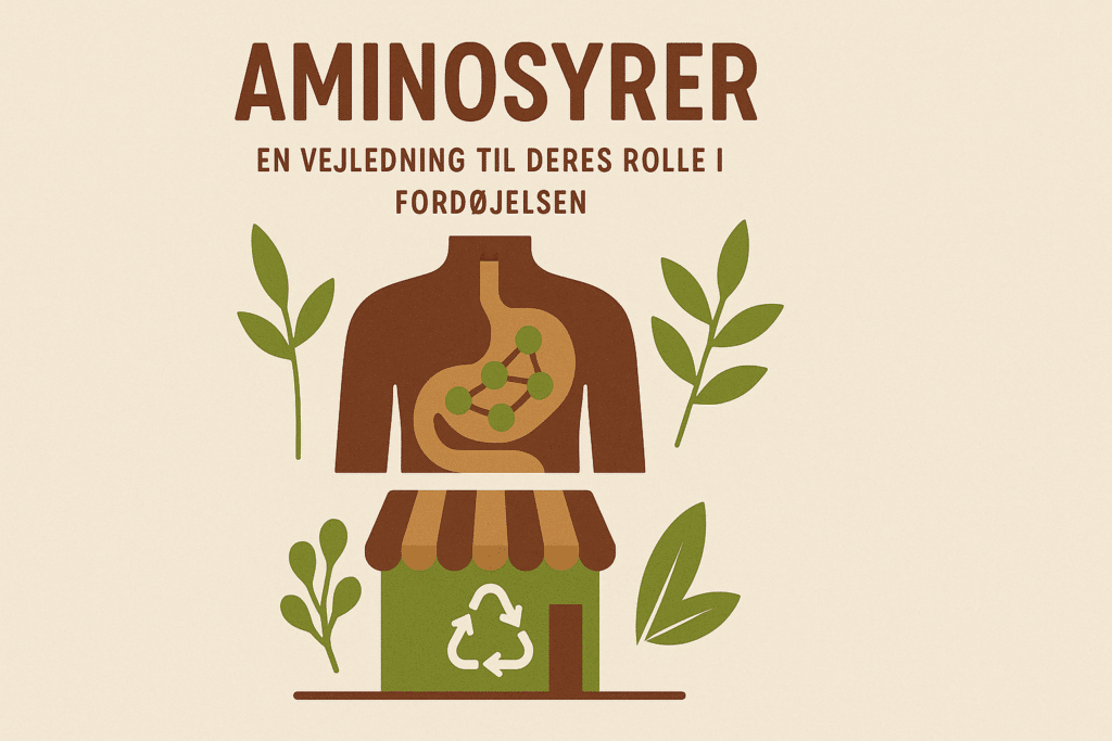 Aminosyrer: En vejledning til deres rolle i fordøjelsen