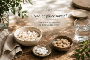 Hvad er glucosamin? Guide til de forskellige former
